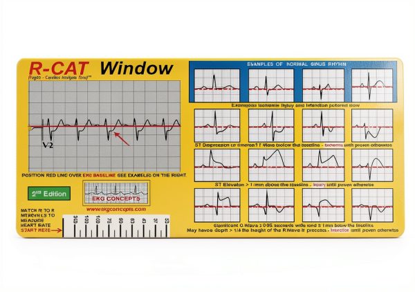 R-CAT Yellow EKG Card 3.25 x 6.75 in with Reversible Window-5