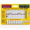 R-CAT EKG Badge by EKG Concepts - Red Plastic Cardiac Diagnostic Tool-0